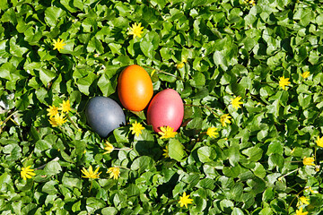 Ostereiernest im Blütenmeer