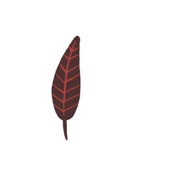 Colection Leaf Floral Illustration