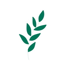 Colection Leaf Floral Illustration