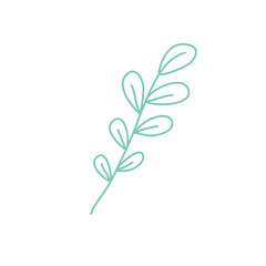 Colection Leaf Floral Illustration