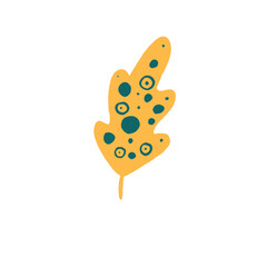 Colection Leaf Floral Illustration