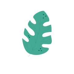 Colection Leaf Floral Illustration