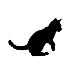 Black silhouette of a kitten. Cat silhouette. isolated, illustration