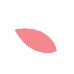 Colection Leaf Floral Illustration