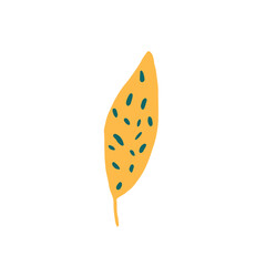 Colection Leaf Floral Illustration