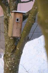 A man-made wooden birdhouse hanging on a bare tree during the winter.