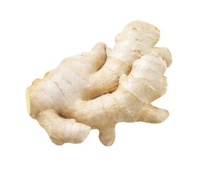 Ginger rhizome, spicy spice source of antioxidants, isolated on white background with clipping path