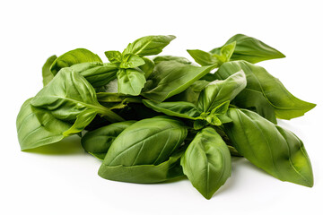 fresh basil leaves