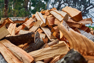 low angle view of a stack of firewood