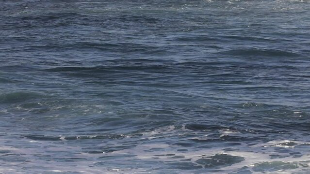 sea ​​surf with high waves on the sandy beach of praia de santa barbara,ribeira grande,island sao miguel, azores,portugal,drone photography