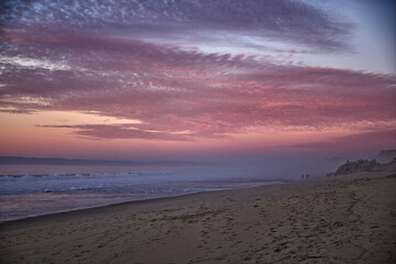 The Down at the sea coast near Monterey