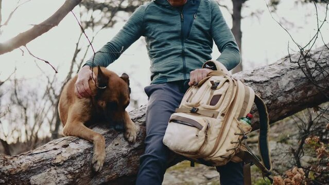 Hiker and his dog taking a break while sitting on a felled tree in the forest