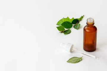 Herbal or tea tree essential oil in dropper bottle. Cosmetic products concept