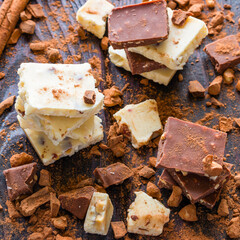 broken chocolate with cocoa