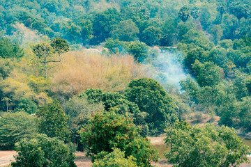 top view of green forest and smoke from fire burning has begun