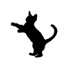 Black silhouette of a kitten. Cat silhouette. isolated, illustration