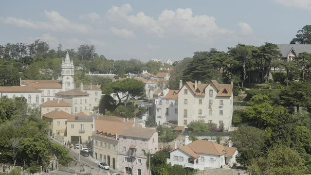 Aerial view of the village with historic buildings. Action. Architectural ensemble on a summer day.