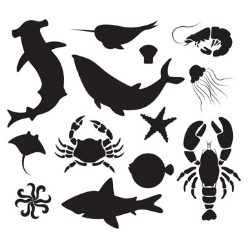 Fish and wild marine animals silhouette are isolated on blue background. Inhabitants of the sea world, cute, funny underwater creatures shark, ocean crabs, sea turtle, shrimp. Flat modern illustration