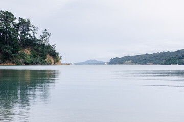 Whakanewha Regional Park beach calm blue sea green waters pohutawaka tree