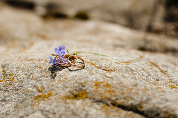 Wedding rings on a stone background on a sunny day decorated with a purple small flower