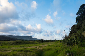 Sunrise Te Henga Walkway Bethells Beach Auckland Tamaki Makaurau Aotearoa New Zealand