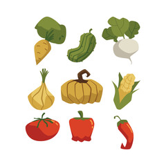 Autumn colorful vegetables icons set, flat vector illustration isolated.