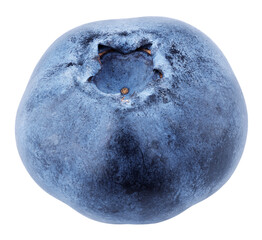 Blueberry berry isolated on transparent background - obrazy, fototapety, plakaty