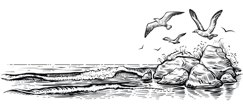 Sea landscape with water waves, seagulls, and rocks. Vector panoramic illustration. Black and white beach sketch.
