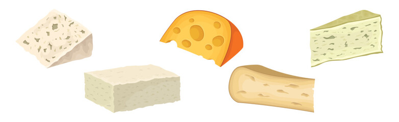 Different Cheese as Dairy Product Made from Milk Vector Set