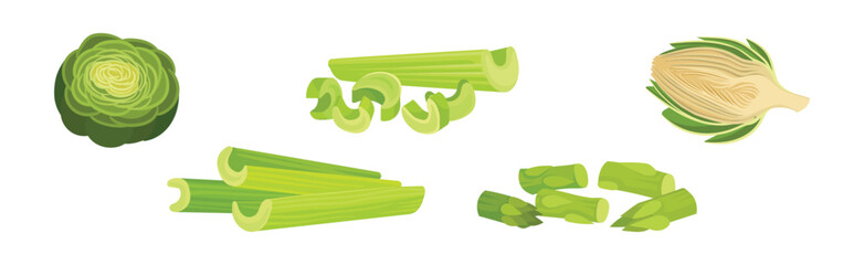 Celery, Artichoke and Asparagus as Cultivated Vegetable for Vegetarian Nutrition Vector Set