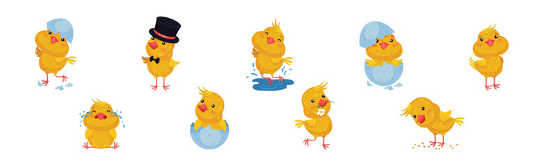 Cute Yellow Chicken Engaged in Different Activity Vector Set