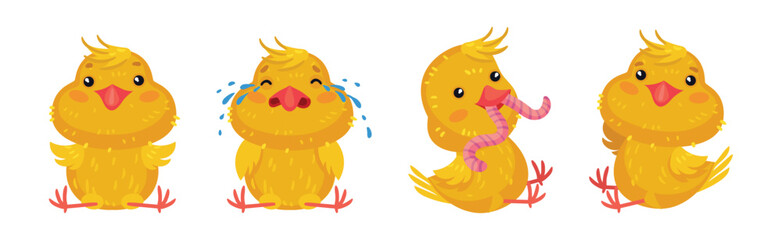 Cute Yellow Chicken Engaged in Different Activity Vector Set