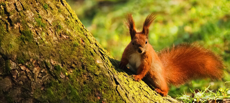 protein in the rays of the spring sun. Copy space.