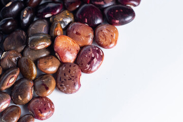 Organic Color Beans from Latin America