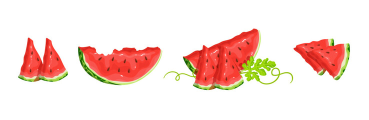 Set of ripe juicy watermelon berries and pieces of summer fruits.Cartoon vector graphics.	