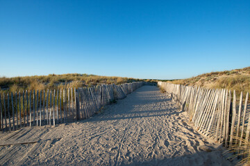 chemin sableux sur la dune bord&eacute; par les ganivelles derri&egrave;re des oyats