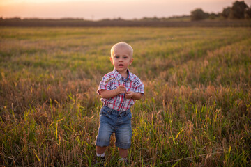 Close up portrait of little boy in plaid shirt. Todder with emotions eats spikelet of wheat