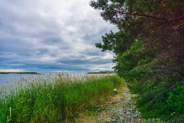 The Umba River on the Kola Peninsula. Tersky coast of the Murmansk region