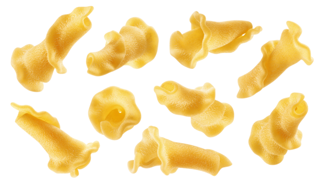 raw Campanelle, uncooked Italian Pasta, isolated on white background, full depth of field
