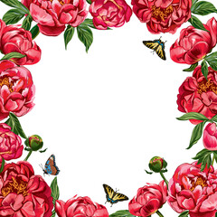 Peony frame. Vector illustration. Red vector peonies.