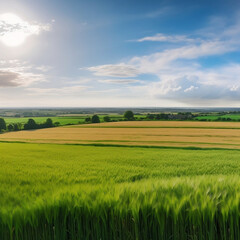Obraz premium green field and blue sky