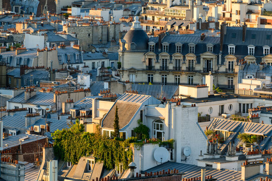 The rooftops of Paris , Europe, France, Ile de France, Paris, in summer, on a sunny day.