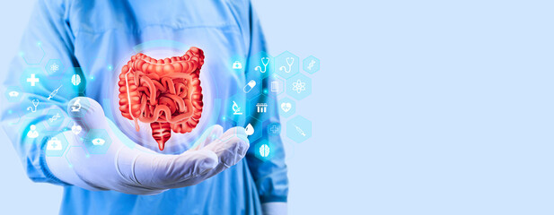 Large and small intestine. Colon cancer, bacteria, virus in the intestine, inflammation, ulcerative...