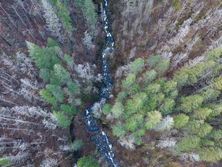An aerial view shows old fire damage in an Oregon forest near the Columbia River Gorge. This area experienced a massive fire in 2017 and is still recovering.