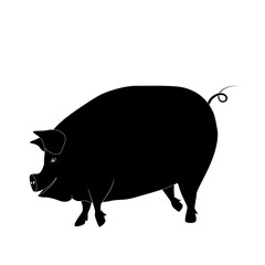 Graphic pig, pork label food mear vector animal tattoo