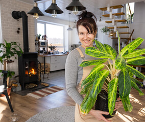 A happy woman in a green house with a potted plant in her hands smiles, takes care of a flower. The...