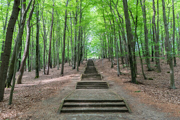 Koszalin, Poland - May 25, 2022: Stairs to Mount Chełmska. park in spring. Long climb up the stairs in the spring park.