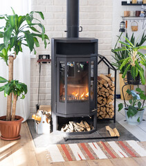 Black Metal Steel fireplace stove with fire and firewood in green home with indoor plant in flower...