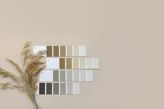 Concept: Nature Inspires Colors. Samples Of Paints  With Dried Grass On A Beige Background.  Neutral Beige And Gray Color Palette For Decorating And Design. Natural Pastel Colors For Home Renovation