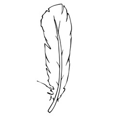 Linear sketch, bird feather coloring. Vector graphics.
